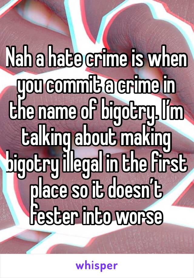 Nah a hate crime is when you commit a crime in the name of bigotry. I’m talking about making bigotry illegal in the first place so it doesn’t fester into worse