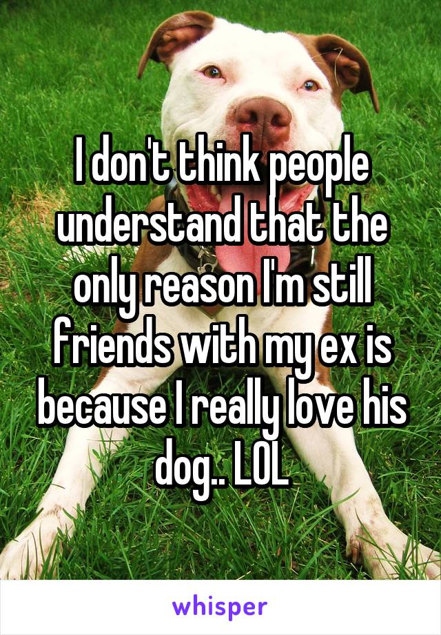 I don't think people understand that the only reason I'm still friends with my ex is because I really love his dog.. LOL