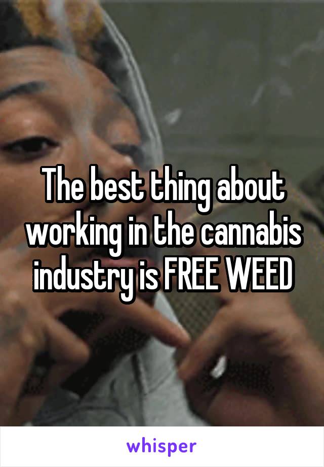 The best thing about working in the cannabis industry is FREE WEED