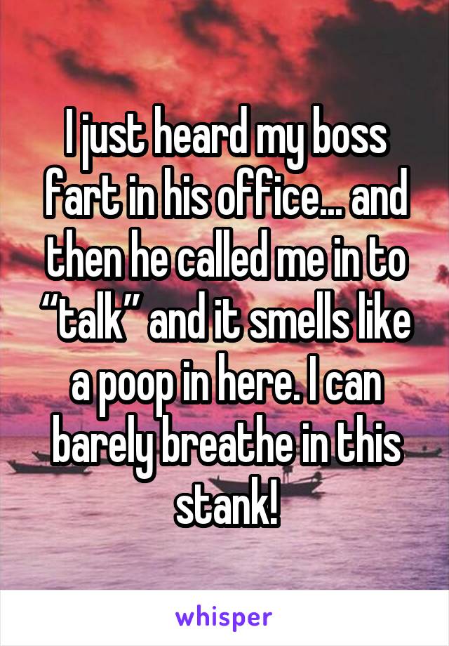 I just heard my boss fart in his office... and then he called me in to “talk” and it smells like a poop in here. I can barely breathe in this stank!