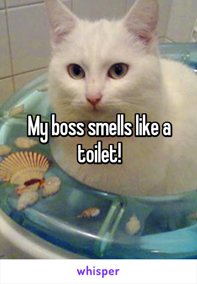 My boss smells like a toilet!