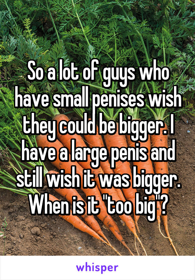 So a lot of guys who have small penises wish they could be bigger. I have a large penis and still wish it was bigger. When is it "too big"?