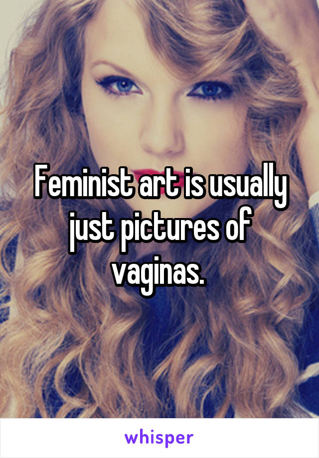 Feminist art is usually just pictures of vaginas. 