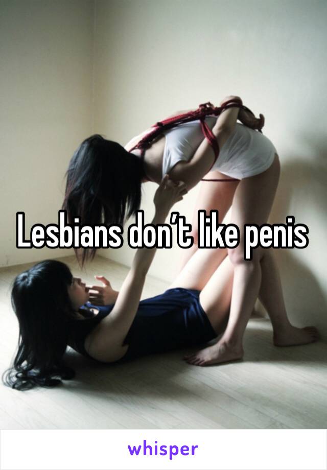 Lesbians don’t like penis 