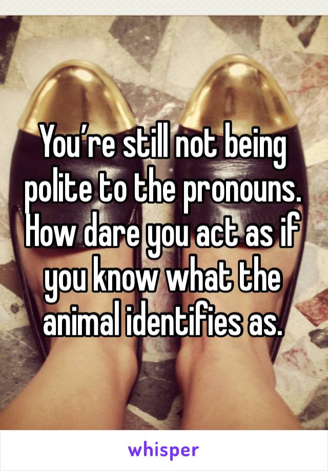 You’re still not being polite to the pronouns. How dare you act as if you know what the animal identifies as. 