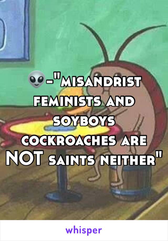 👽-"misandrist feminists and soyboys cockroaches are NOT saints neither"