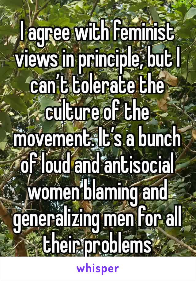 I agree with feminist views in principle, but I can’t tolerate the culture of the movement. It’s a bunch of loud and antisocial women blaming and generalizing men for all their problems 