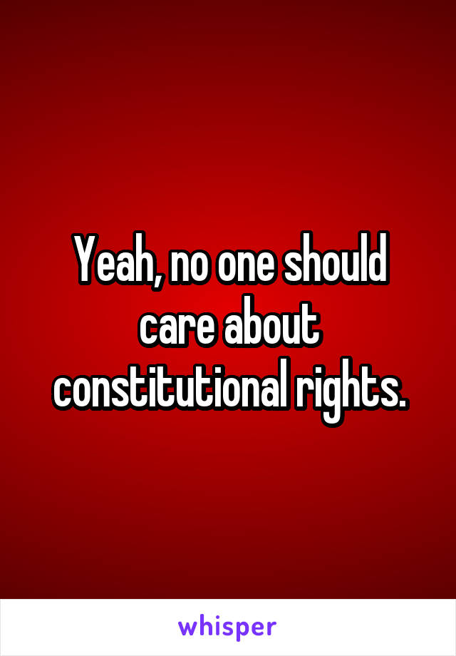 Yeah, no one should care about constitutional rights.