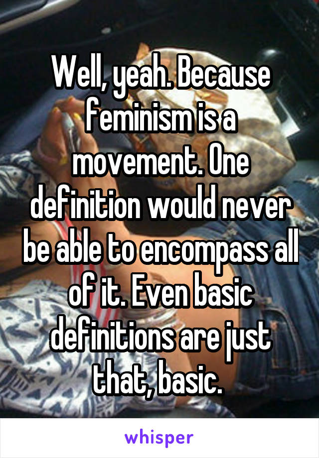 Well, yeah. Because feminism is a movement. One definition would never be able to encompass all of it. Even basic definitions are just that, basic. 