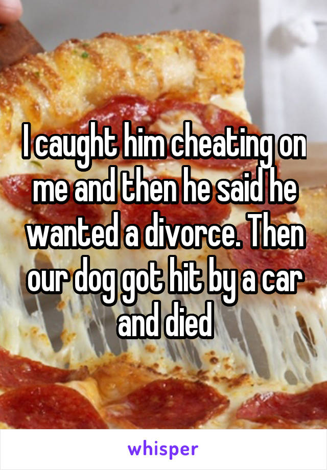 I caught him cheating on me and then he said he wanted a divorce. Then our dog got hit by a car and died