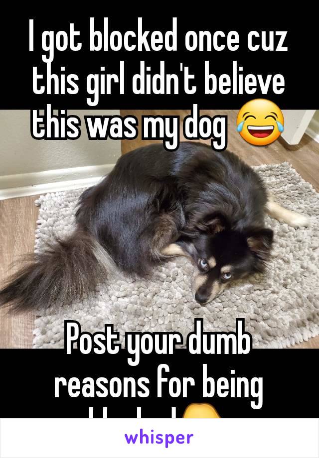 I got blocked once cuz this girl didn't believe this was my dog 😂




Post your dumb reasons for being blocked👇