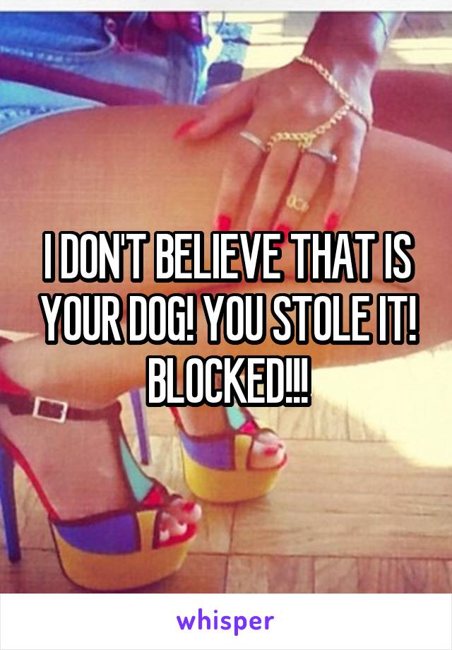 I DON'T BELIEVE THAT IS YOUR DOG! YOU STOLE IT! BLOCKED!!!