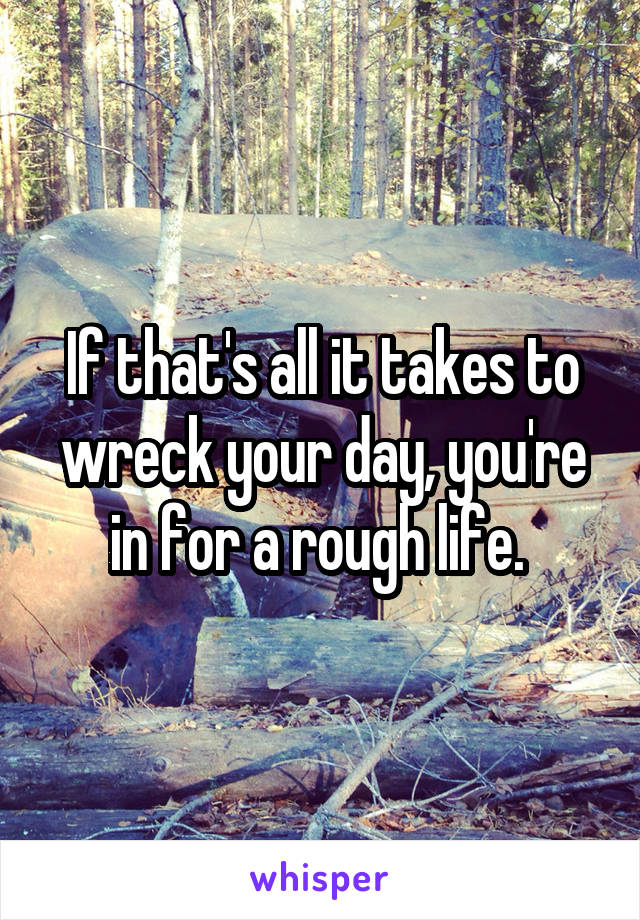 If that's all it takes to wreck your day, you're in for a rough life. 