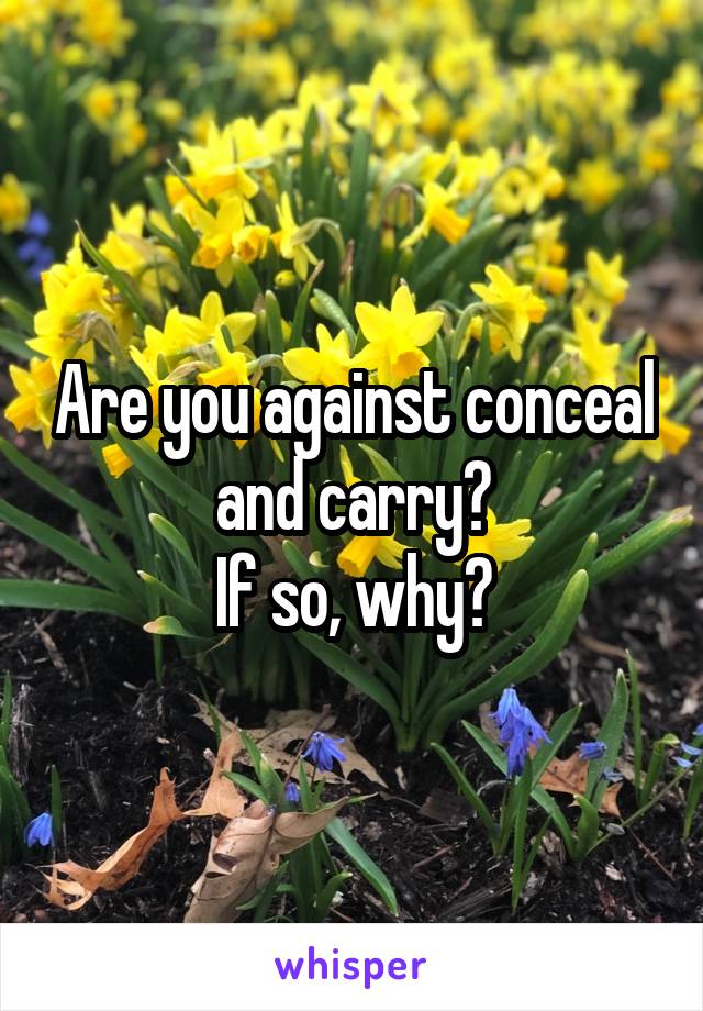 Are you against conceal and carry?
If so, why?