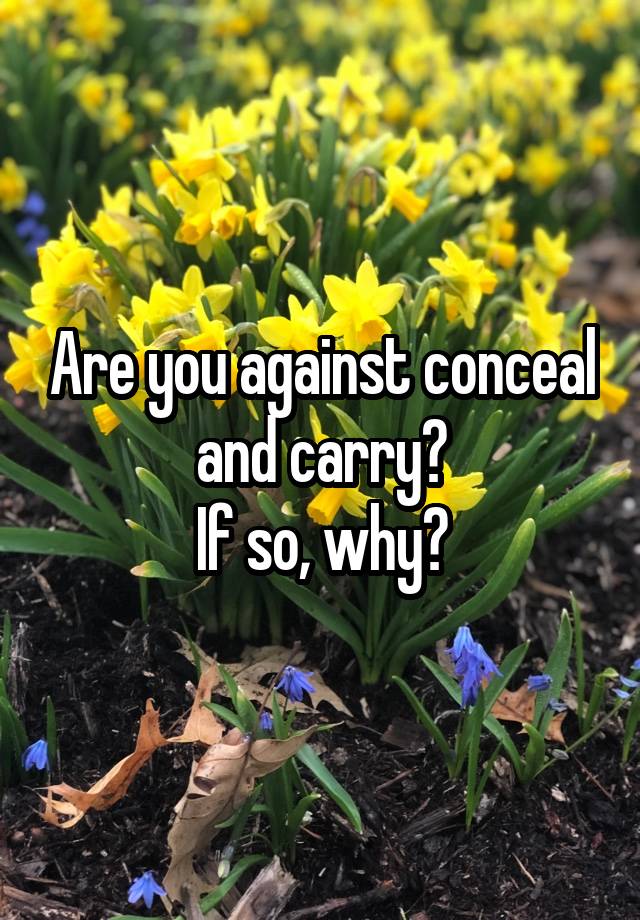 Are you against conceal and carry?
If so, why?