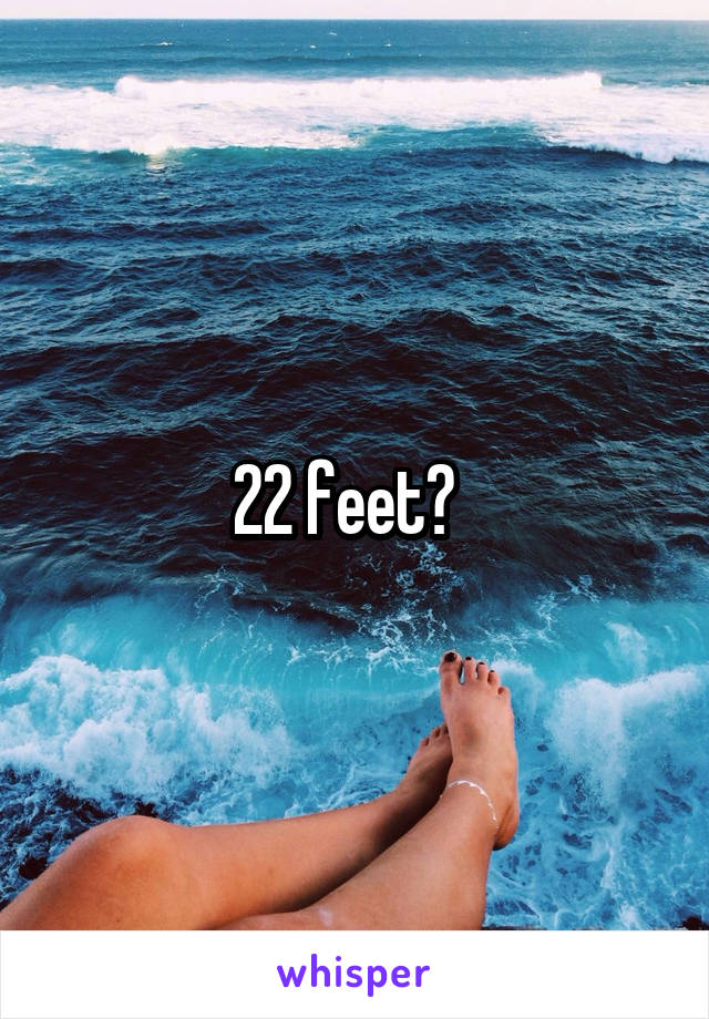 22 feet?  