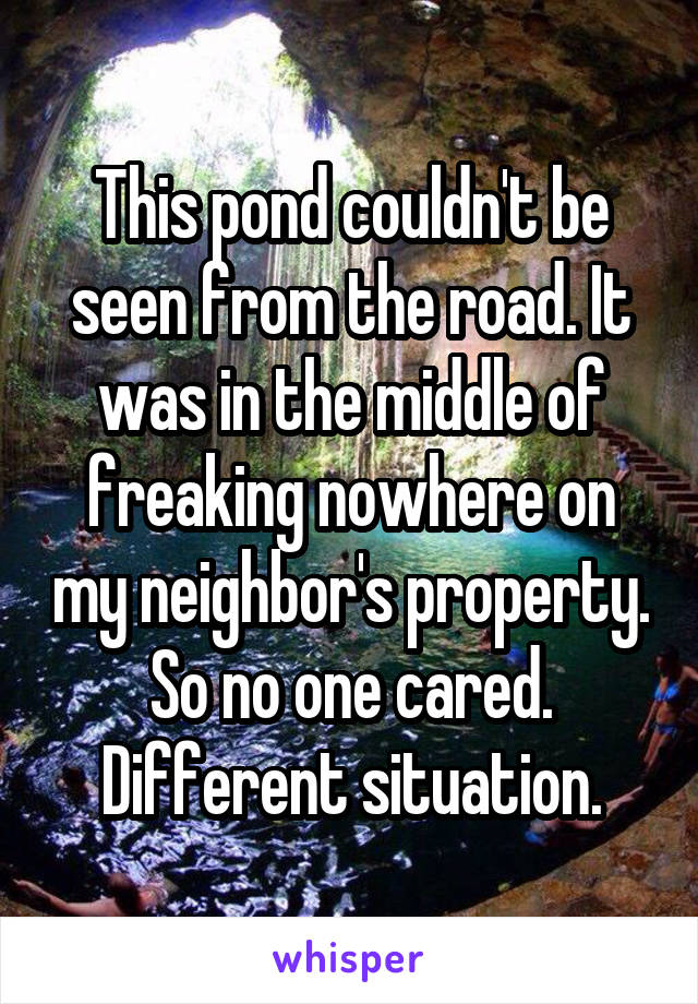 This pond couldn't be seen from the road. It was in the middle of freaking nowhere on my neighbor's property. So no one cared. Different situation.