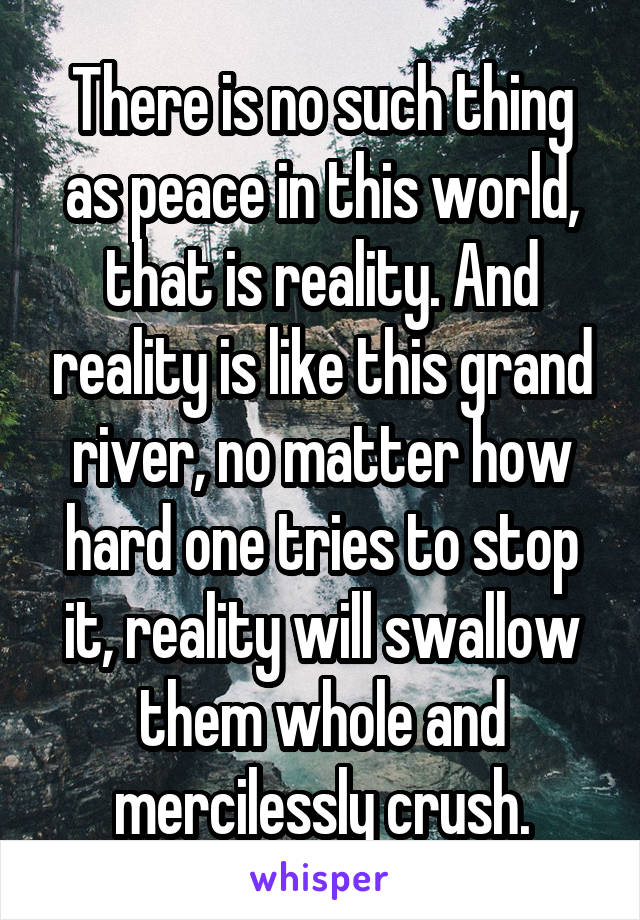 There is no such thing as peace in this world, that is reality. And reality is like this grand river, no matter how hard one tries to stop it, reality will swallow them whole and mercilessly crush.