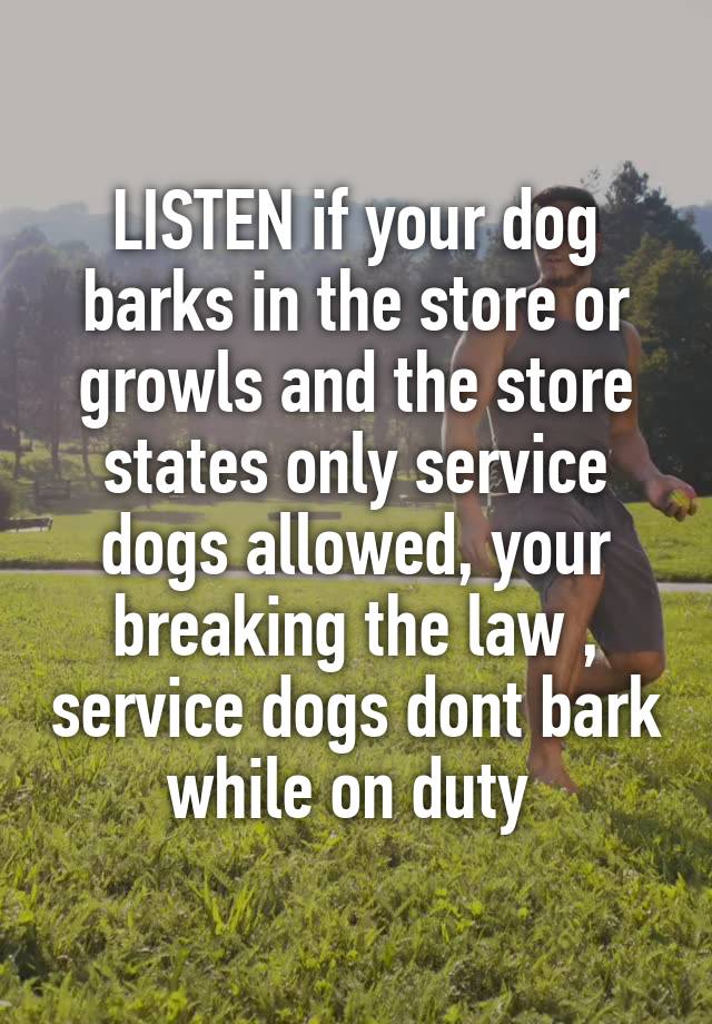 LISTEN if your dog barks in the store or growls and the store states only service dogs allowed, your breaking the law , service dogs dont bark while on duty 