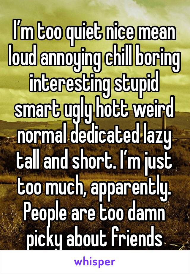 I’m too quiet nice mean loud annoying chill boring interesting stupid smart ugly hott weird normal dedicated lazy tall and short. I’m just too much, apparently. People are too damn picky about friends