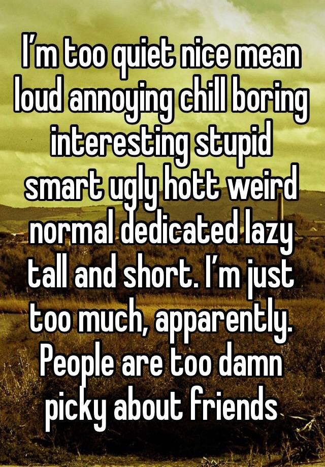 I’m too quiet nice mean loud annoying chill boring interesting stupid smart ugly hott weird normal dedicated lazy tall and short. I’m just too much, apparently. People are too damn picky about friends