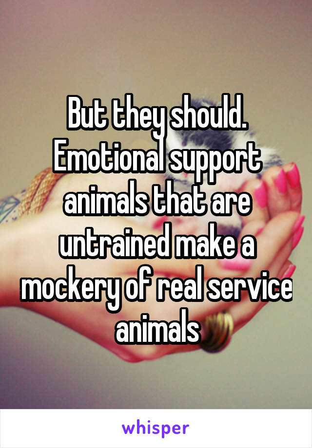 But they should. Emotional support animals that are untrained make a mockery of real service animals