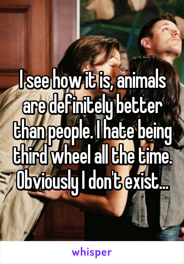 I see how it is, animals are definitely better than people. I hate being third wheel all the time. Obviously I don't exist...