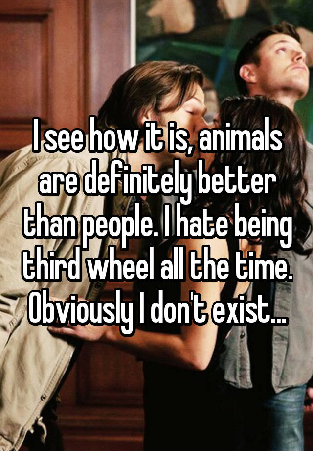 I see how it is, animals are definitely better than people. I hate being third wheel all the time. Obviously I don't exist...