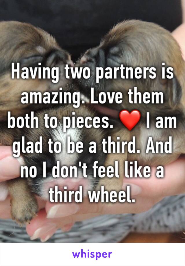 Having two partners is amazing. Love them both to pieces. ❤️ I am glad to be a third. And no I don't feel like a third wheel. 