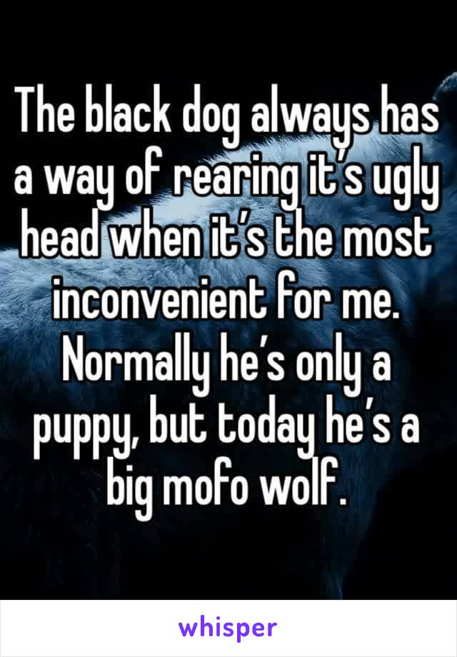 The black dog always has a way of rearing it’s ugly head when it’s the most inconvenient for me. Normally he’s only a puppy, but today he’s a big mofo wolf. 