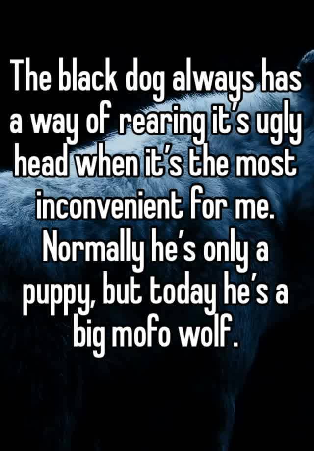 The black dog always has a way of rearing it’s ugly head when it’s the most inconvenient for me. Normally he’s only a puppy, but today he’s a big mofo wolf. 