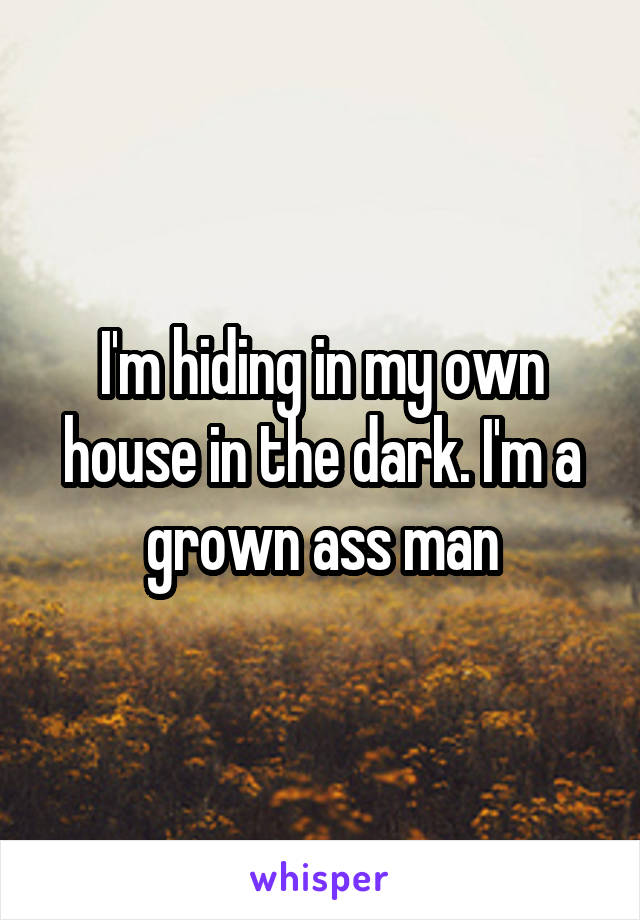 I'm hiding in my own house in the dark. I'm a grown ass man