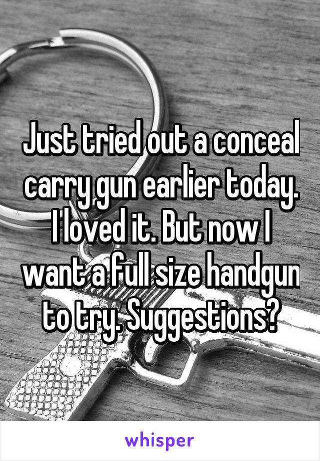 Just tried out a conceal carry gun earlier today. I loved it. But now I want a full size handgun to try. Suggestions?