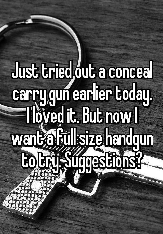 Just tried out a conceal carry gun earlier today. I loved it. But now I want a full size handgun to try. Suggestions?