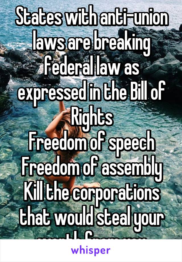 States with anti-union laws are breaking federal law as expressed in the Bill of Rights
Freedom of speech
Freedom of assembly
Kill the corporations that would steal your worth from you