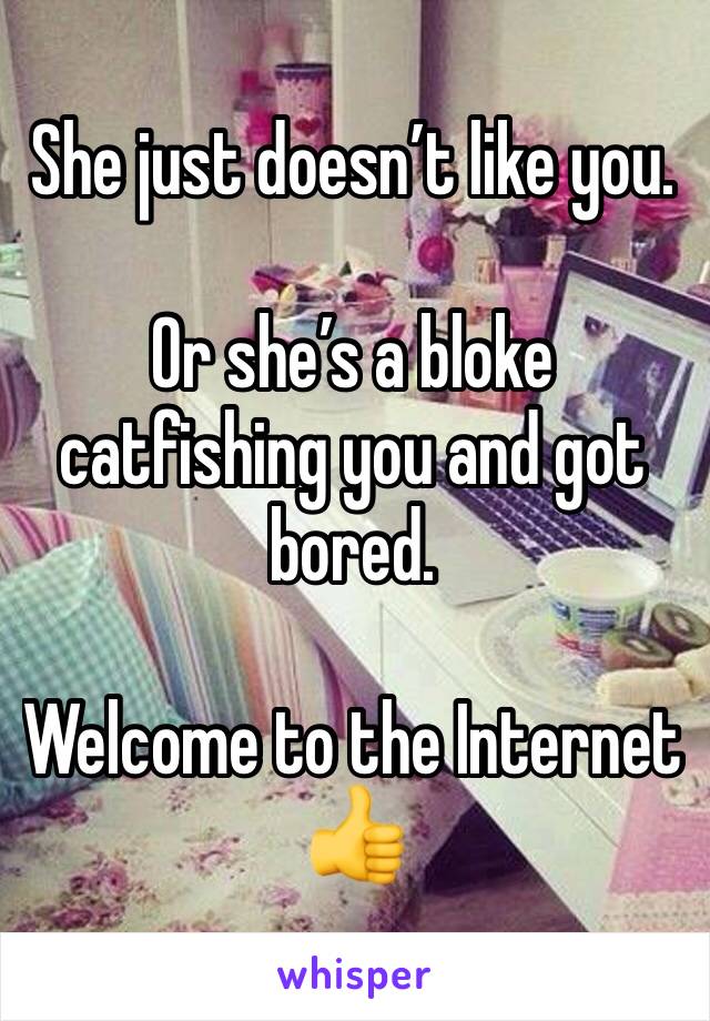 She just doesn’t like you.

Or she’s a bloke catfishing you and got bored.

Welcome to the Internet 👍