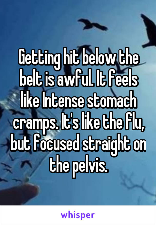 Getting hit below the belt is awful. It feels like Intense stomach cramps. It's like the flu, but focused straight on the pelvis.