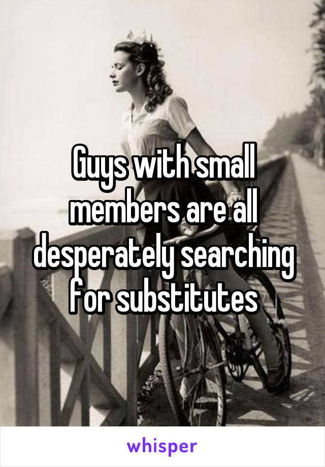 Guys with small members are all desperately searching for substitutes