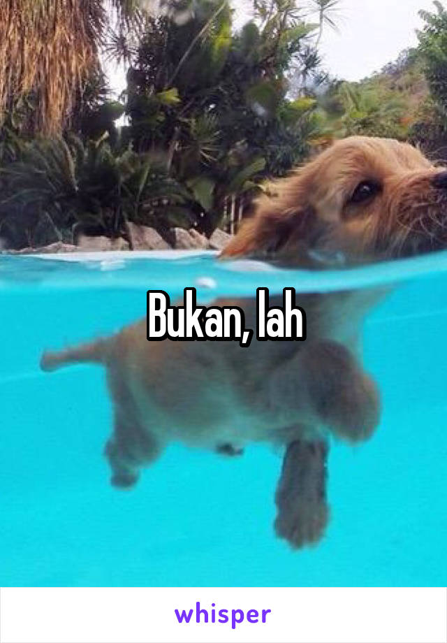 Bukan, lah