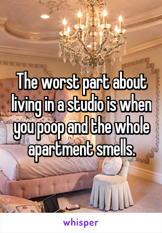 The worst part about living in a studio is when you poop and the whole apartment smells.