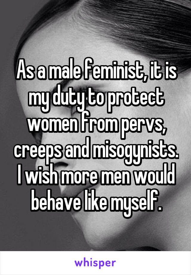 As a male feminist, it is my duty to protect women from pervs, creeps and misogynists. I wish more men would behave like myself.