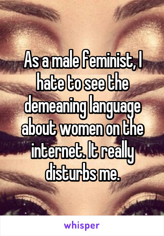 As a male feminist, I hate to see the demeaning language about women on the internet. It really disturbs me.