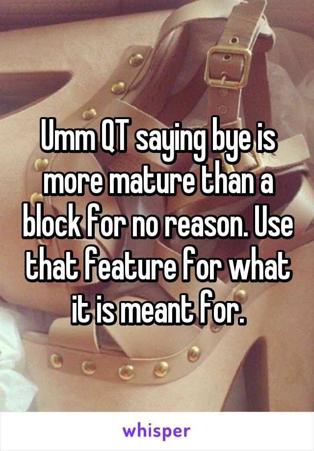 Umm QT saying bye is more mature than a block for no reason. Use that feature for what it is meant for.