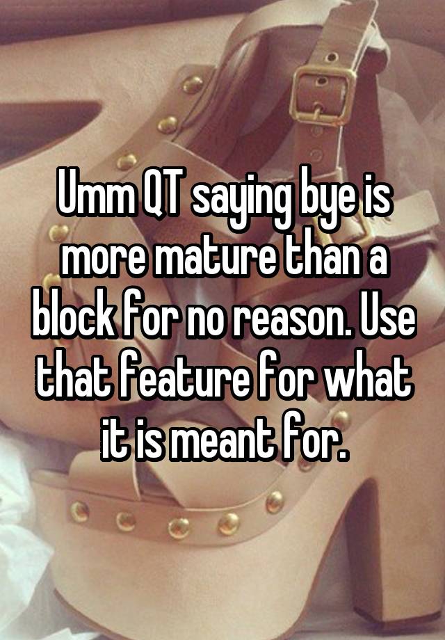 Umm QT saying bye is more mature than a block for no reason. Use that feature for what it is meant for.