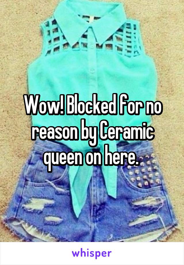 Wow! Blocked for no reason by Ceramic queen on here. 