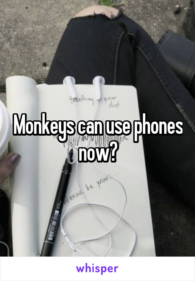 Monkeys can use phones now?