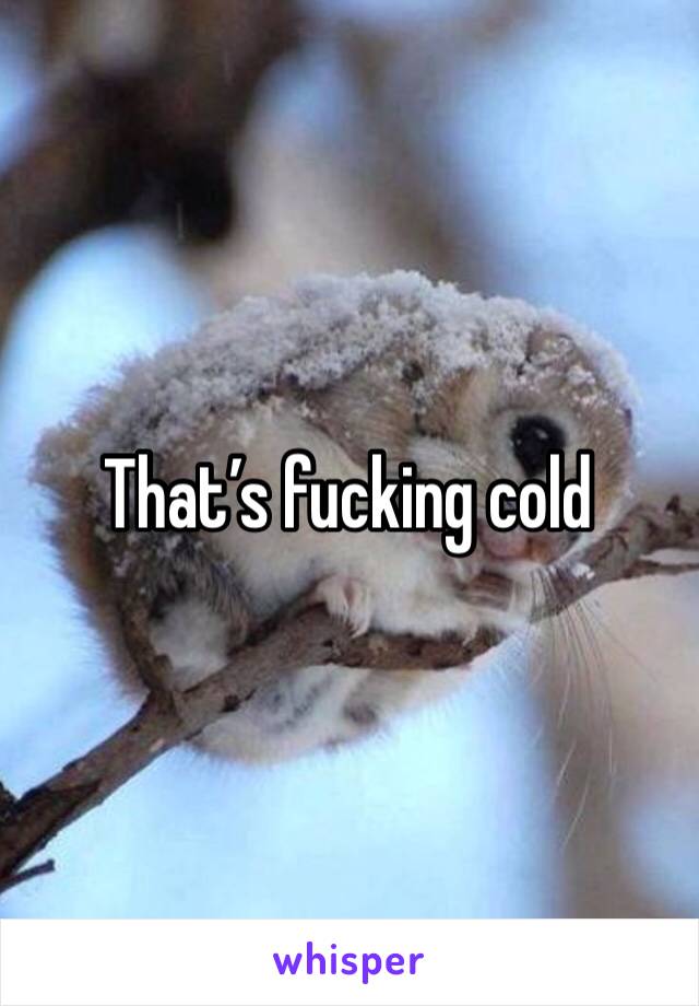 That’s fucking cold