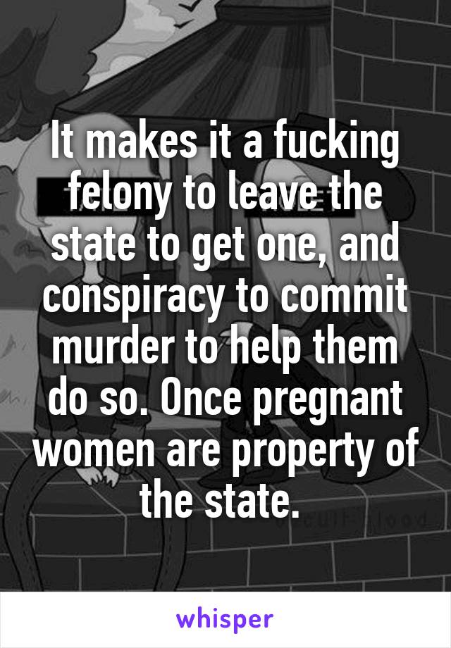 It makes it a fucking felony to leave the state to get one, and conspiracy to commit murder to help them do so. Once pregnant women are property of the state. 