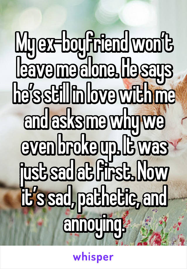 My ex-boyfriend won’t leave me alone. He says he’s still in love with me and asks me why we even broke up. It was just sad at first. Now it’s sad, pathetic, and annoying.
