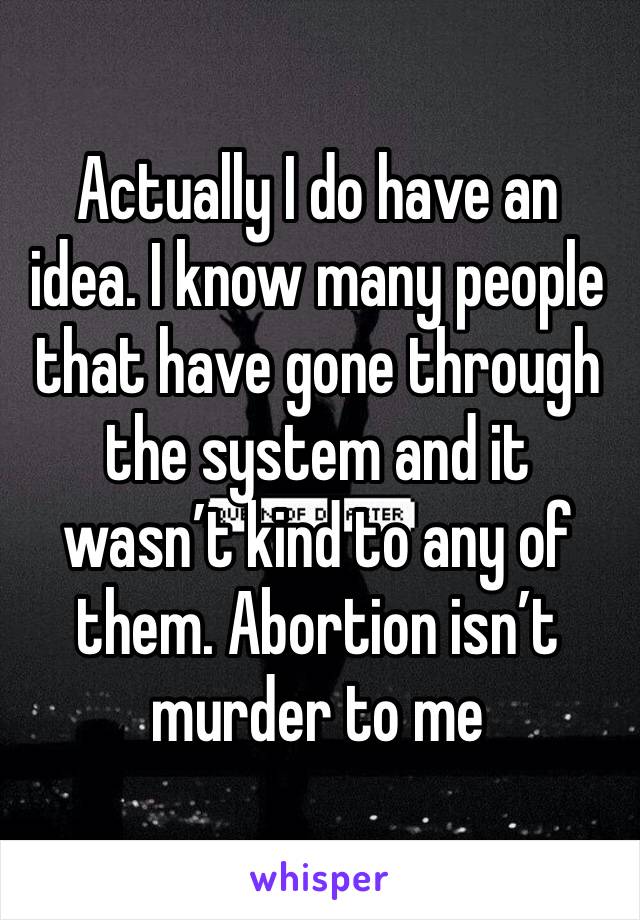 Actually I do have an idea. I know many people that have gone through the system and it wasn’t kind to any of them. Abortion isn’t murder to me 